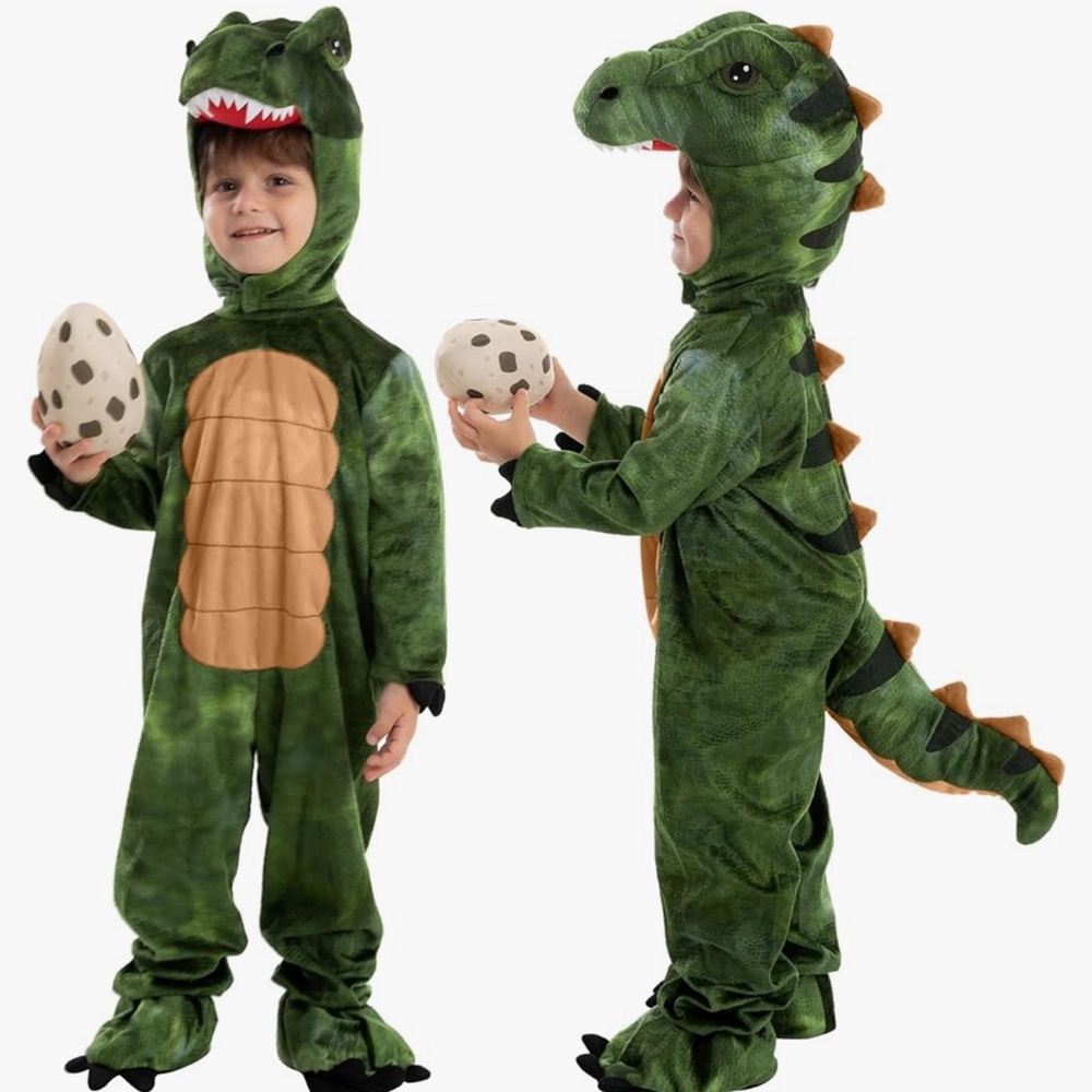 Kids dinosaur costume
